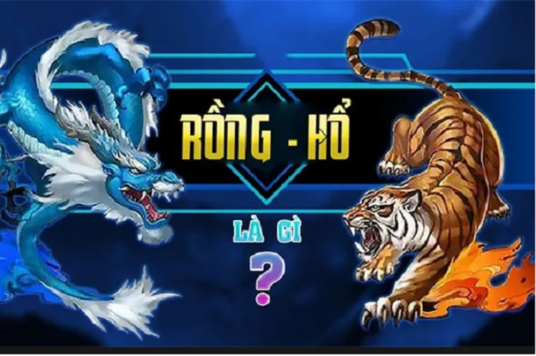 Tuyệt Kỹ Săn Thưởng Game Bài Dragon Tiger 77Ball Nhanh Chóng Và Hiệu Quả